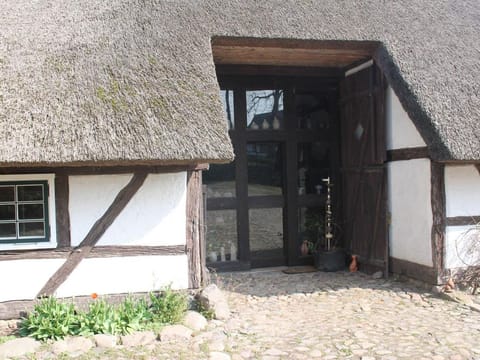 Ferienwohnung in Reddelich for 4 Personen Apartment in Mecklenburg-Vorpommern, Germany