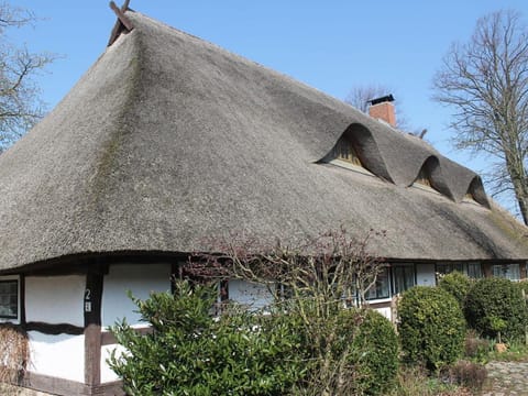 Ferienwohnung in Reddelich for 4 Personen Apartment in Mecklenburg-Vorpommern, Germany