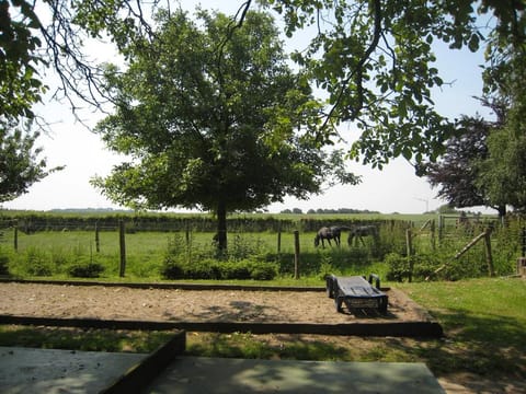 Idyllic Family Escape in Limburg Apartment in Limburg (province)