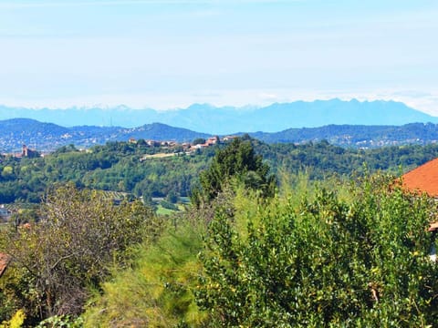 Studio in Astigiana Hills with Wine  Views Vacation rental in Piedmont