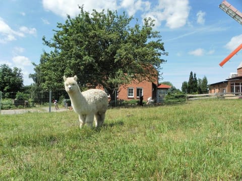 Familienapartment Neubukow Apartment in Mecklenburg-Vorpommern, Germany