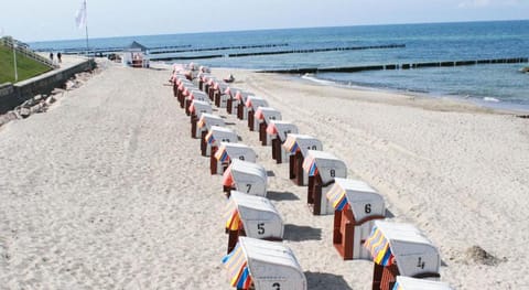 Sonnige Ferienwohnung am Wald Budnerreihe Apartment in Mecklenburg-Vorpommern, Germany