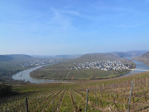 Apartment in Morbach near Ski Lift Apartment in Thalfang