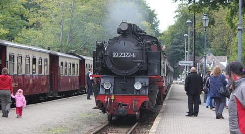 Central Apartment, Bad Doberan Apartment in Mecklenburg-Vorpommern, Germany