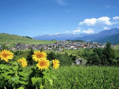 Apartment in Fiss near Ski Lifts Apartment in Serfaus