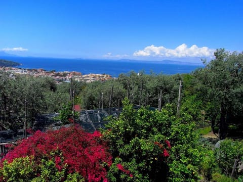 Mansion in Sorrento near the Beach Vacation rental in Sant Agnello