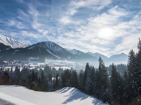 Apartment in Riezlern near Ski Slope Apartment in Oberstdorf