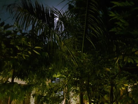 Leisure 1 Aashirwad Jaipur Home Stay  Vacation rental in Jaipur