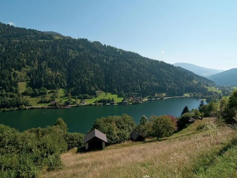 Bungalow in Glodnitz near Nockberge Alps Apartment in Carinthia, Austria