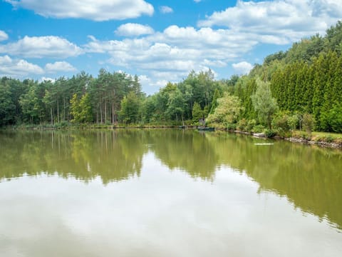 Idyllic Lakeside Cottage Docked boat in Wallonia, Belgium