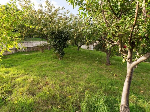 Belvilla by OYO Casa Vacanza BeCampobasso 6 Vacation rental in Molise, Italy