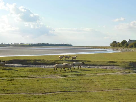 Peaceful Stay near Lake Vacation rental in Brittany