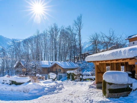 Apartment in Walchen near Ski Lift Apartment in Piesendorf