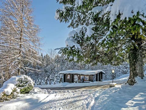 Amazing chalet in Tirol w/  Vacation rental in Salzburgerland