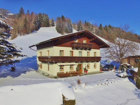 Apartment in Taxenbach near Ski Lift Apartment in Salzburgerland