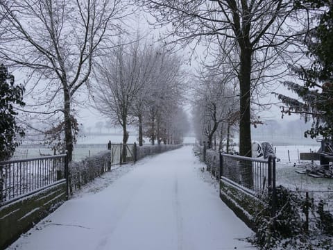 Apartment near town center in Mesch Apartment in Limburg (province)