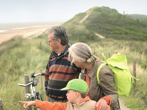 Chic Villa by the Sea Villa in Koudekerke