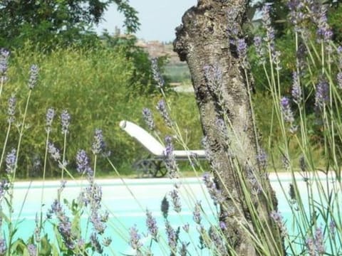 Cottage in Val di Chiana Vacation rental in Castiglion Fiorentino