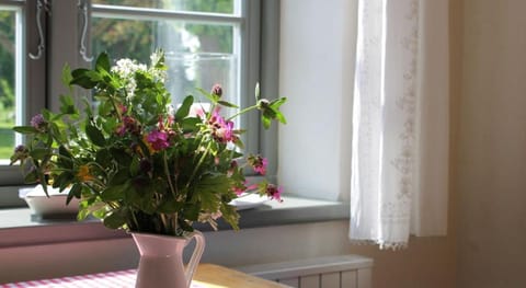 Kleine Ferienwohnung in Steffenshagen mit Garten Apartment in Mecklenburg-Vorpommern, Germany