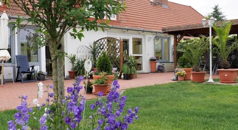 Hubsches Appartement in Am Salzhaff mit Kamin Apartment in Rerik