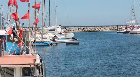 Schones Ferienhaus in Biendorf mit Garten Vacation rental in Mecklenburg-Vorpommern, Germany