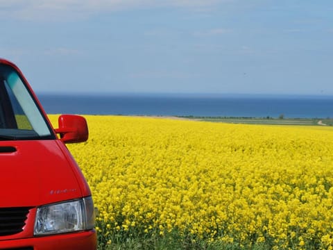 Bungalow in Neubukow mit Terrasse und Garten Vacation rental in Mecklenburg-Vorpommern, Germany