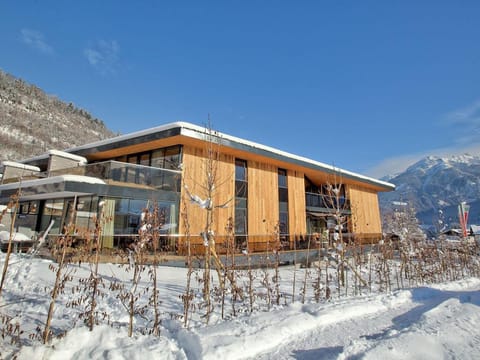 Apartment in Neukirchen near Ski Lift Apartment in Salzburgerland