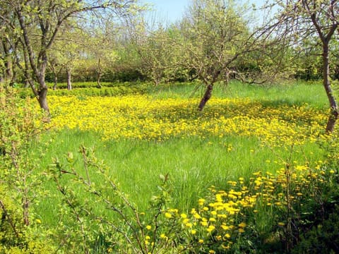 Wohnung in Neuburg nahe Ostseestrand Apartment in Mecklenburg-Vorpommern, Germany