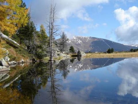 Apartment in Afritz near Ski Resorts Apartment in Carinthia, Austria