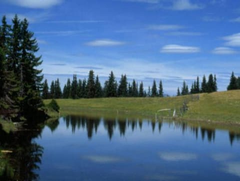 Apartment in Afritz near Ski Resorts Apartment in Carinthia, Austria