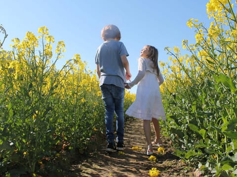 Schone Ferienwohnung in Damshagen an der Ostsee Apartment in Ostholstein