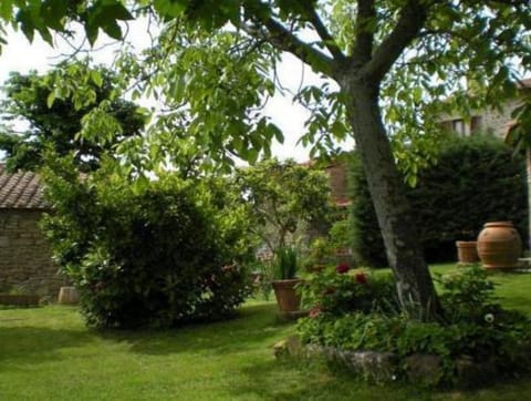 Farmhouse in Cortona Vacation rental in Umbria