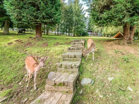 Holiday Home in Houffalize With Terrace Vacation rental in Luxembourg