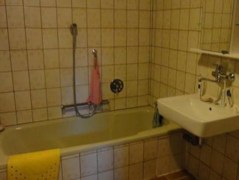 Holiday Home Moselle with Private Sauna Vacation rental in Rhineland-Palatinate