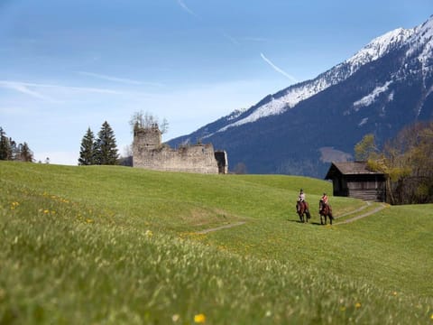 Penthouse Tauernfenster, Neukirchen Apartment in Salzburgerland