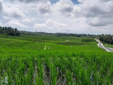 Balian Bliss Retreat Villa Vacation rental in West Selemadeg