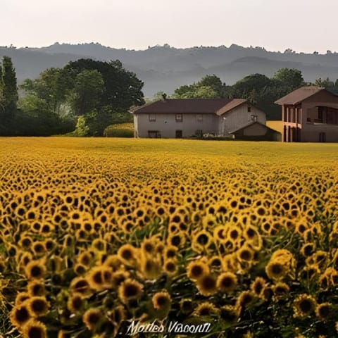 Casa T Bed and Breakfast & Home Restaurant Apartment in Liguria