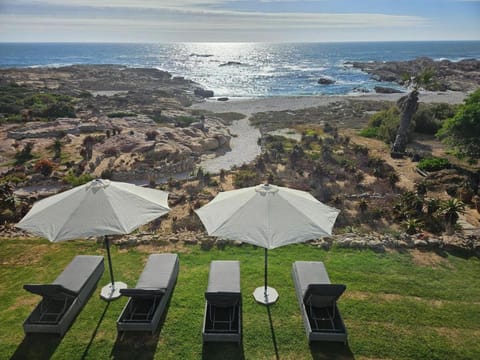 Lambertsbay Beachfront Bed and Breakfast in Western Cape