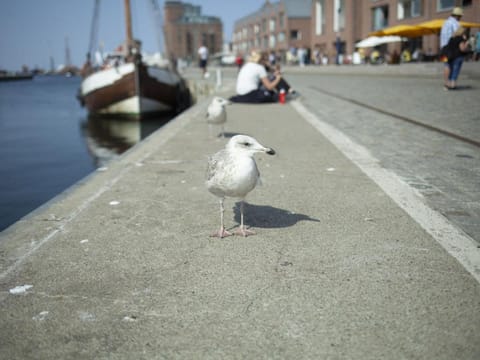 Bungalow in StoveBoiensdorf Vacation rental in Mecklenburg-Vorpommern, Germany