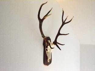 Villa in Berismenil near Forest Vacation rental in Wallonia, Belgium