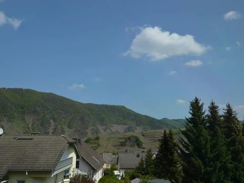 Attractive holiday home in Bremm with garden Vacation rental in Ediger-Eller