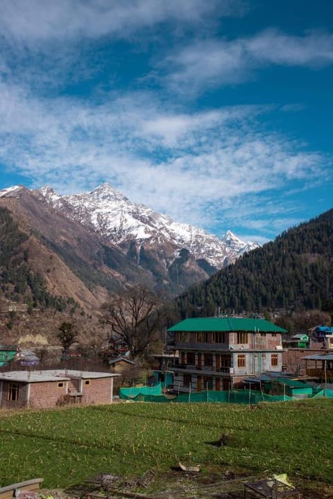 Property view