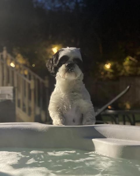 Cwtch Vacation rental in Saint Florence