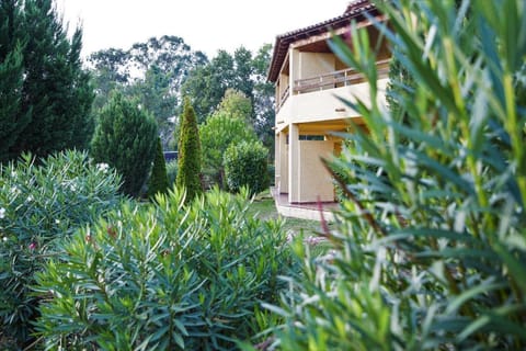 Studio apartment on the sea for couples or families Apartment in Ghisonaccia