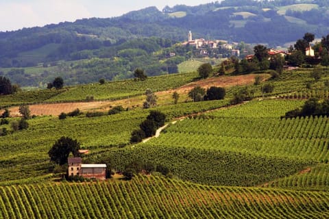 Luxury apartment in Villa I Due Padroni  Apartment in Emilia-Romagna