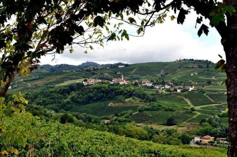 Family apartment in Villa with pool, garden, WiFi Apartment in Emilia-Romagna