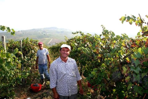 Family apartment in Villa with pool, garden, WiFi Apartment in Emilia-Romagna