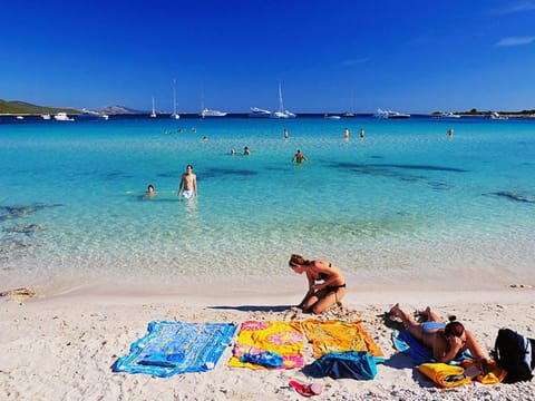 Apartment on Dugi Otok near Sakarun Beach Apartment in Zadar County