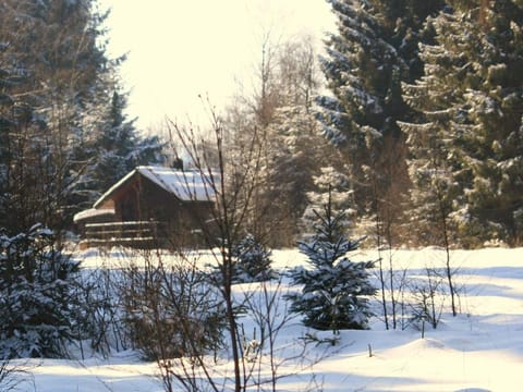 Cozy Forest Chalet Escape Vacation rental in Wallonia, Belgium