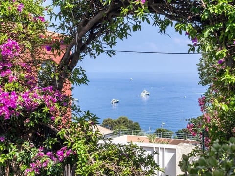 Elegant Seaside Villa in Eze Vacation rental in Eze